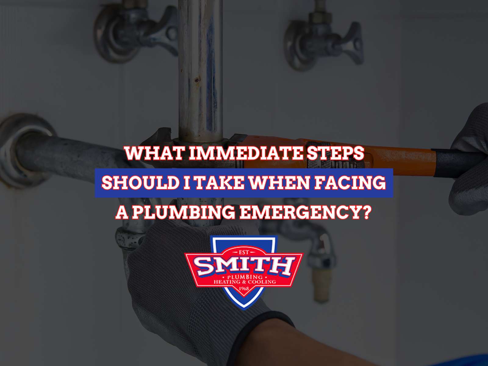What Immediate Steps Should I Take When Facing a Plumbing Emergency?