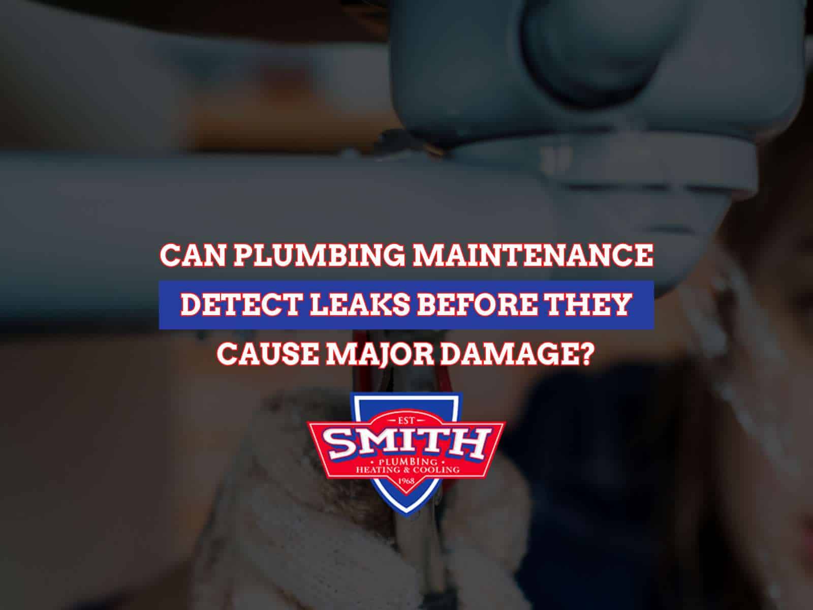 Can Plumbing Maintenance Detect Leaks Before They Cause Major Damage?