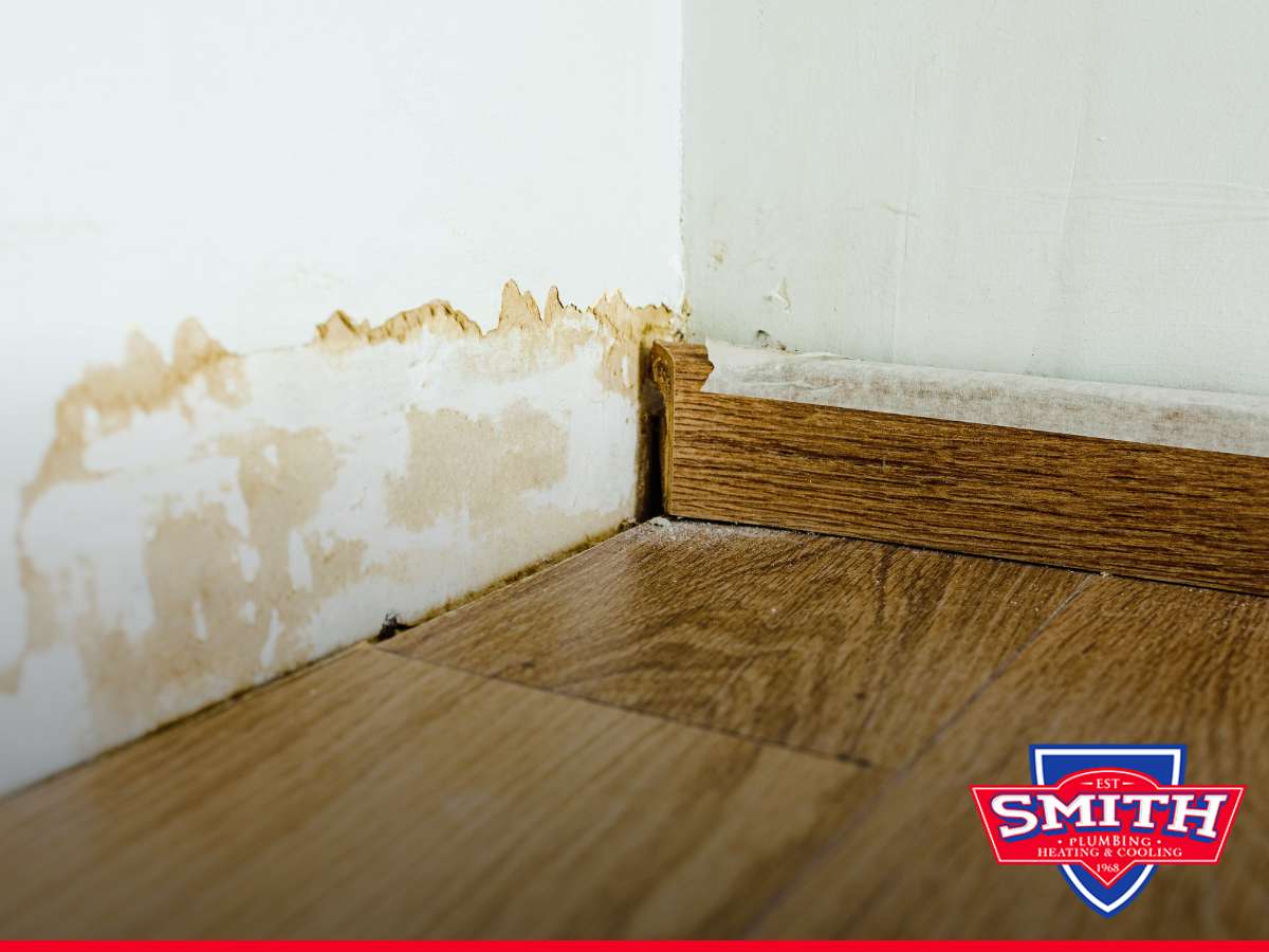 Water-damaged wall showing signs of Mold After Flooding At Home, highlighting potential risks of untreated moisture issues