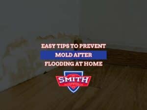 Easy Tips To Prevent Mold After Flooding At Home