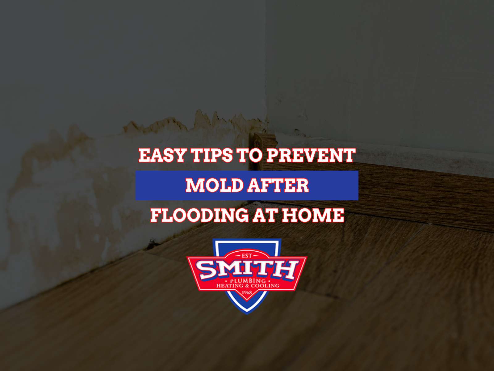 Easy Tips To Prevent Mold After Flooding At Home